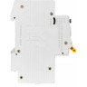 Дифференциальный автоматический выключатель IEK АД12 2Р 32А 100мА - MAD10-2-032-C-100