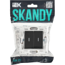 Выключатель 2-клавишный IEK SKANDY с индикацией 10А SK-V09Bl черный SK-V20-1-10-K02